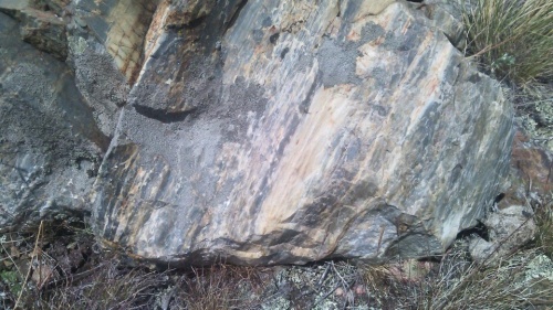 Гигантские зелёные валуны для ландшафтного дизайна весом более 5 тонн купить в Нефтекамске